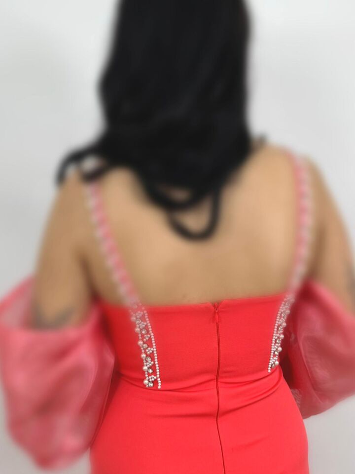 Erina Yırtmaç Detalı İnci Ve Taş Aksesuarlı Yavru Ağzı Renk Abiye Elbise